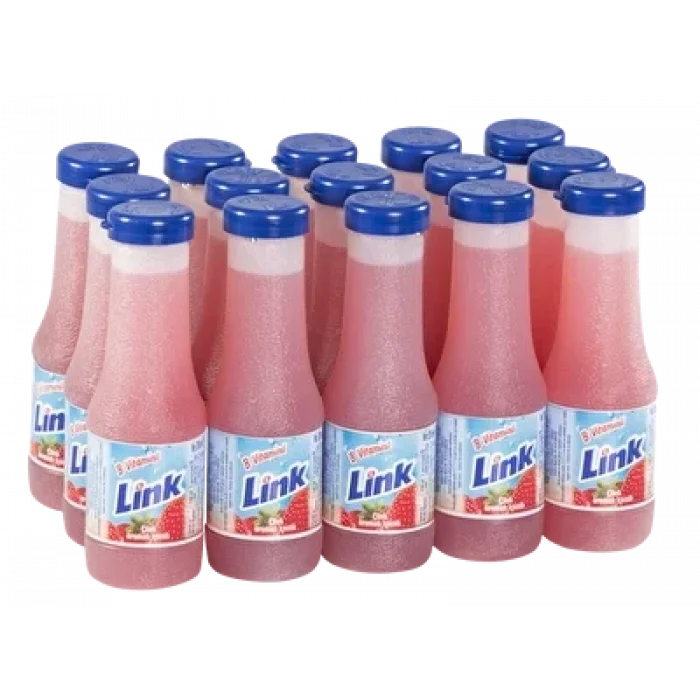 Link İçecek Çilek 200 Ml x 15 Adet