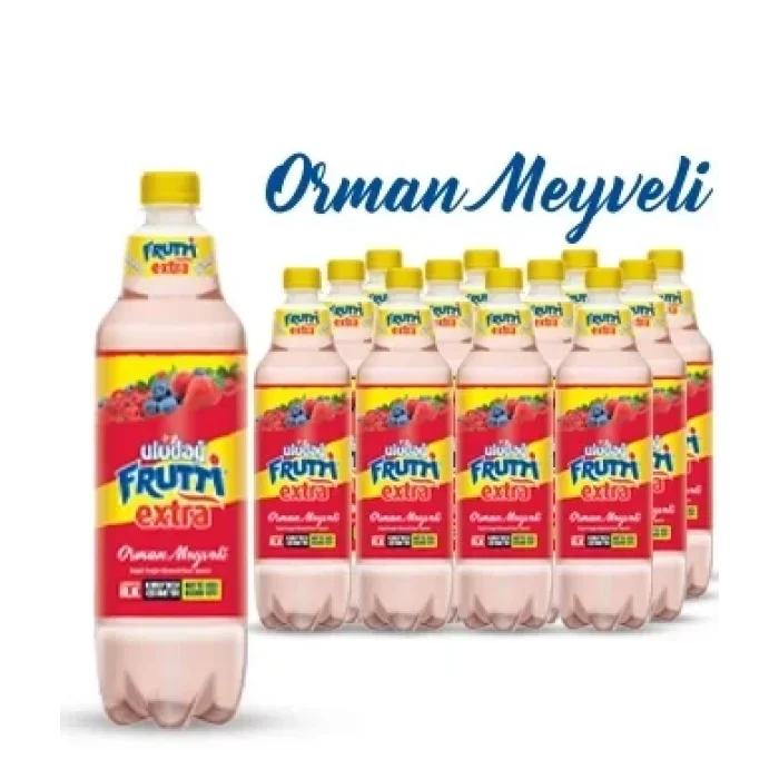 Uludağ Frutti Extra Orman Meyveli 250 Ml x 24 Adet