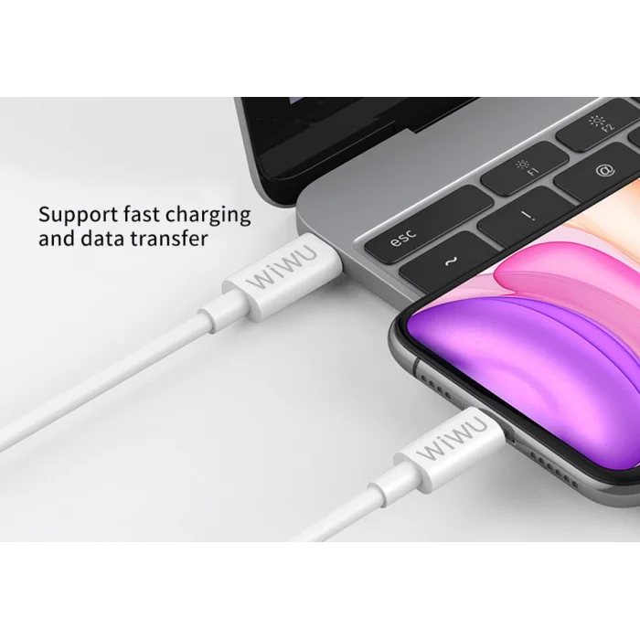 Wiwu The One PD To Lightning Usb Kablo 2M