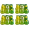 Avşar Soda Kivi 200 Ml x 24 Adet