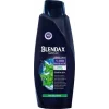 Blendaks Şampuan Mentol 500 Ml x 6 Adet