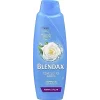 Blendaks Şampuan  Normal Saç 470 Ml x 6 Adet