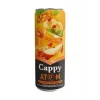 Cappy Kutu Atom 330 Ml x 12 Adet