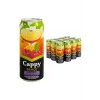 Cappy Kutu Karışık 330 Ml x 12 Adet