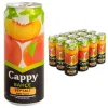 Cappy Kutu Şeftali 330 Ml x 12 Adet