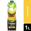 Cappy Nektar Ananas 1 Litre x 12 Adet