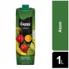 Cappy Nektar Atom Meyve Suyu 1 Litre x 12 Adet