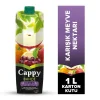 Cappy Nektar Karışık 1 Litre x 12 Adet