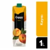 Cappy Nektar Kayısı 1 Litre x 12 Adet