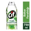 Cif Tüm Yüzeyler Jel Bahar 750ml