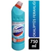 Domestos Çamaşır Suyuyu Okaliptus 810 Ml