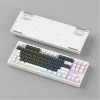 Everest KB-98 SILENT TKL Gri Mavi-Beyaz Rainbow Q Membrane Klavye