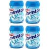 Mentos Sakız Pure Bidon Nane 4ad