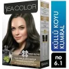Sea Color Kit 6.1 Kül Lü Koyu Kumral