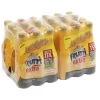Uludağ Frutti Extra Kavun 250 Ml x 24 Adet