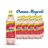 Uludağ Frutti Extra Orman Meyveli 250 Ml x 24 Adet