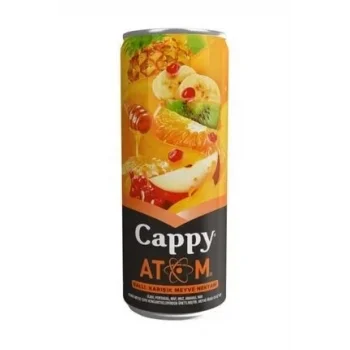 Cappy Kutu Atom 330 Ml x 12 Adet