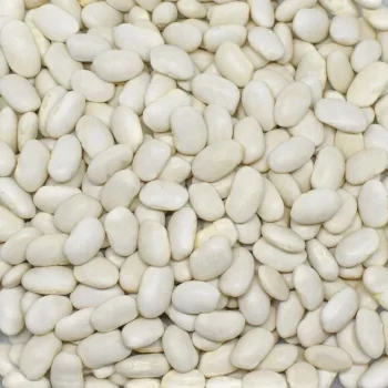 Çuval Kuru Fasulye 25 Kilogram (1 KG Fiyatı)