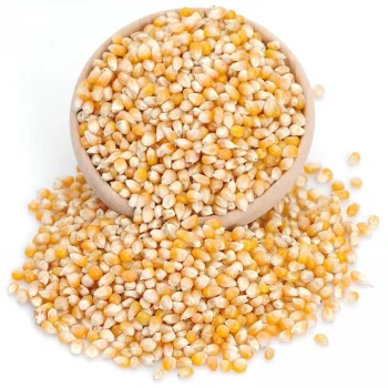 Çuval Mısır Patlatmalık 25 Kilogram (1 KG Fiyatı)