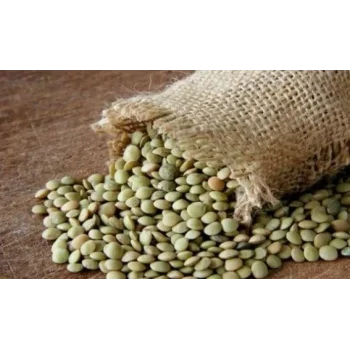 Çuval Yeşil Mercimek 25 Kilogram (1 KG Fiyatı)