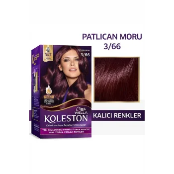 Koleston Boya 3-66 Patlıcan Moru