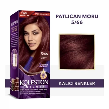 Koleston Boya 5-66 Şarap Kızılı