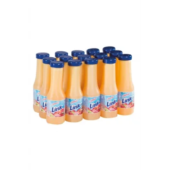 Link İçecek Şeftali 200 Ml
