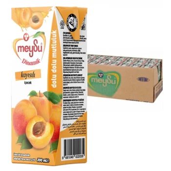 Meysu Dinamik Kayısı 200 Ml x 27 Adet