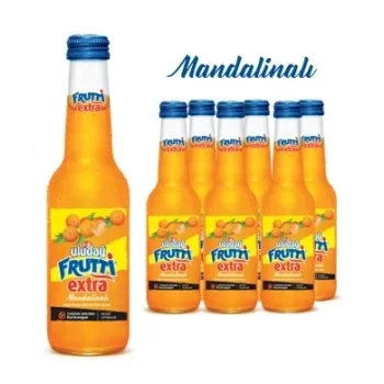 Uludağ Frutti Extra ManDalina 250 Ml x 24 Adet