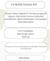 6 Parça Mutfak Havlusu Seti %100 Pamuklu Dalga
