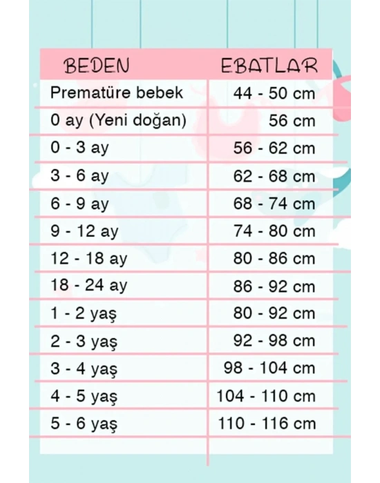 Erkek Bebek Desenli 2li Pantolon 3/12 Ay