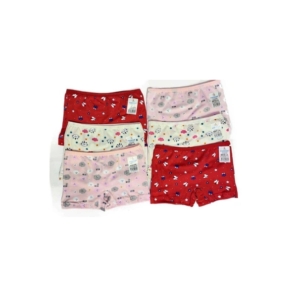 biçomi 6 Adet Kız Çocuk Desenli Penye Boxer 403