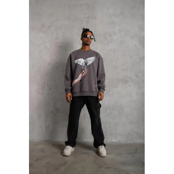 Biçomi Erkek Güvercin Baskılı Sweatshirt - Gri