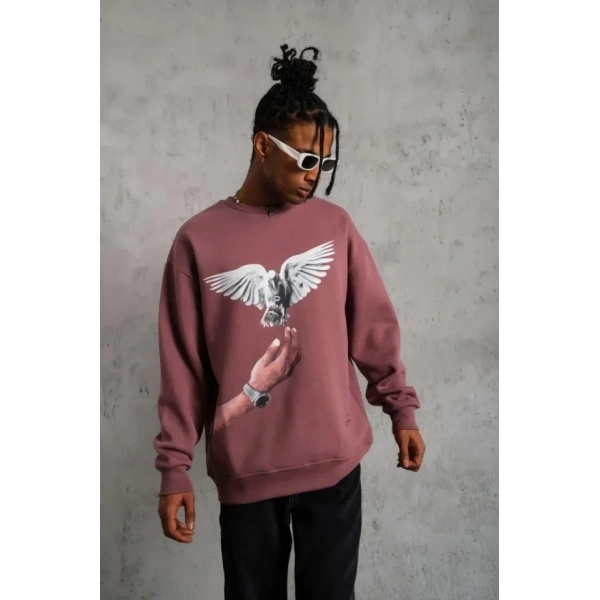 Biçomi Erkek Güvercin Baskılı Sweatshirt - Gül Kurusu