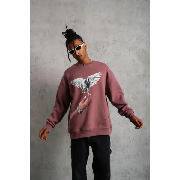 Biçomi Erkek Güvercin Baskılı Sweatshirt - Gül Kurusu