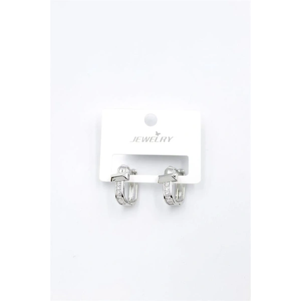 biçomi Taşlı Küpe - Gümüş