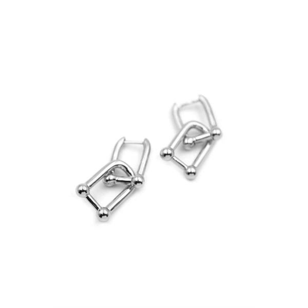 biçomi Tf Küpe - Gümüş