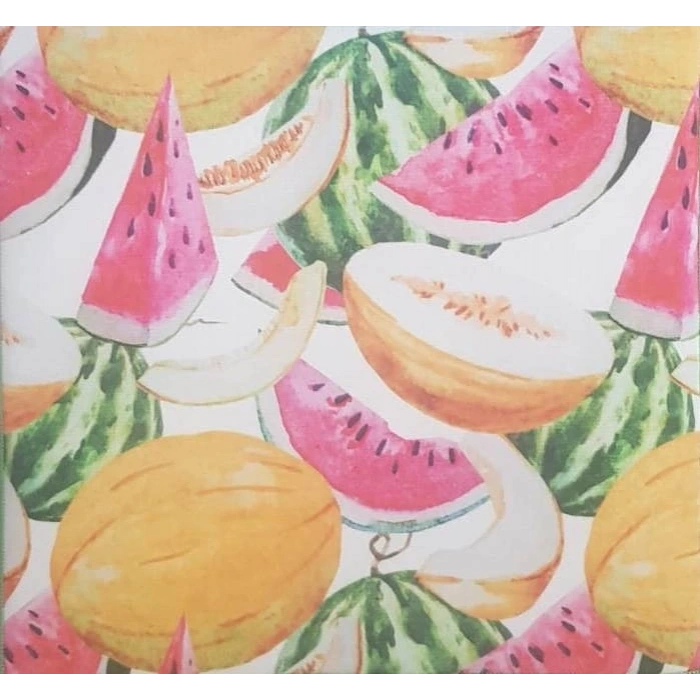 5 Adet Kurutmalık Mikrofiber Kurutma Bulaşık Altlığı