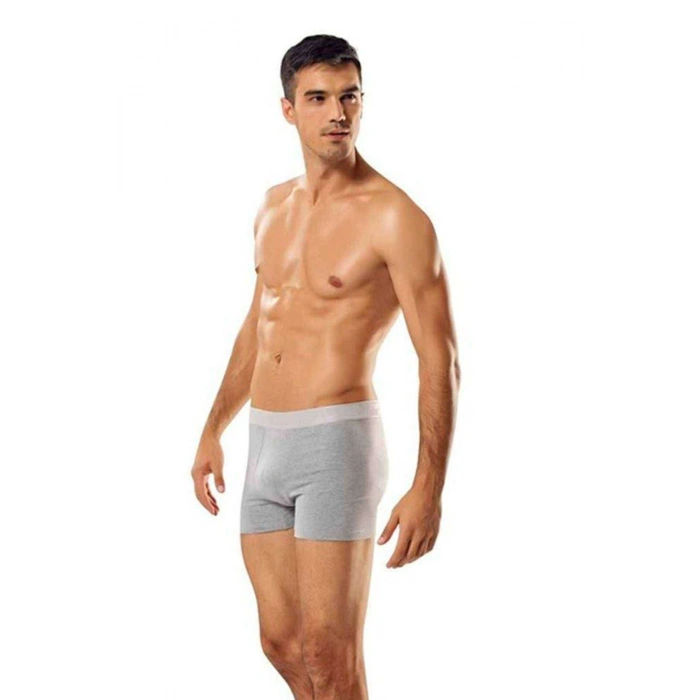 biçomi 3 adet Tutku Likralı Erkek Gri Boxer 0114