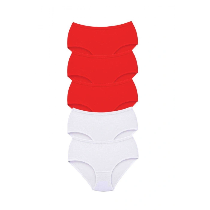 biçomi 5 Adet Tutku Kadın Yüksek Bel Bato Kalın Lastik Külot S8