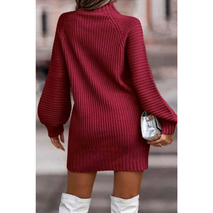 Biçomi Kadın Uzun Kollu Balıkçı Yaka Mini Triko Elbise