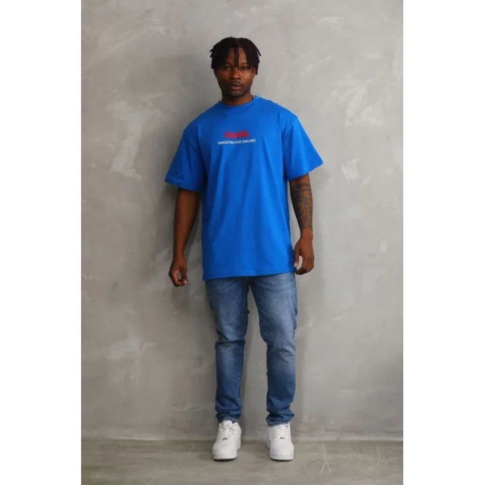 Biçomi Unisex Baskılı Oversize T-Shirt - Mavi