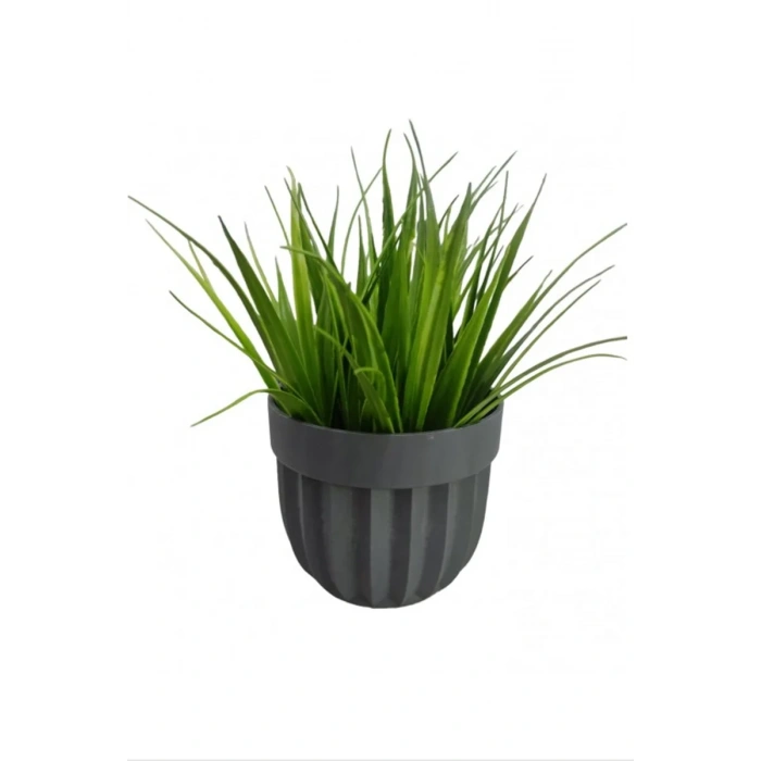 Çizgili Saksı Sazlı Çiçek Biçomi-5782