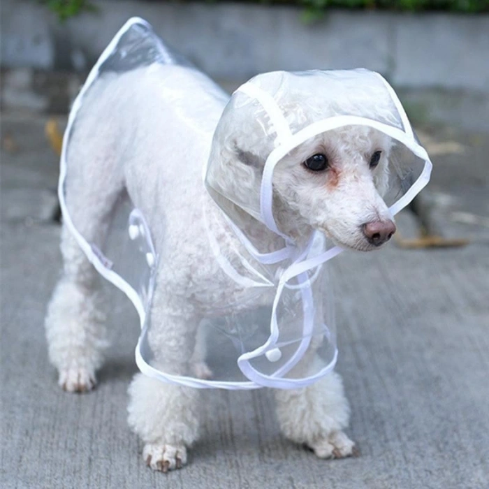 Köpek Yağmurluğu -sarı - (x Small)