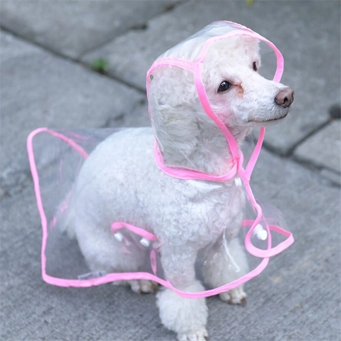 Köpek Yağmurluğu -sarı - (x Small)