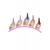 5 Adet Keratinli Besleyici Oje 14 ml SET5