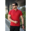 Biçomi Erkek Kısa Kollu Yakalı Tişört