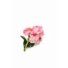 Çiçek Broş - Pembe