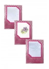 3’lü Özel Paket Premium Kadın İşlemeli Mendil Seti  %100 Pamuk 28x28 Cm