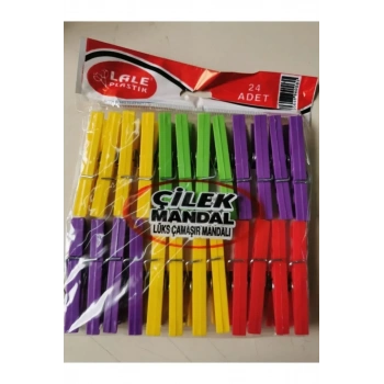 24 Plastik Çilek Mandal Biçomi-L003